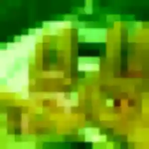 Découvre Manel, 30 ans à Bouessay gratuitement