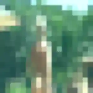 Photo de Heloise à Bouguenais (19 ans) - plan cul discret