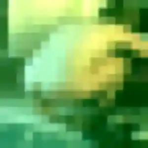 plan cul à Bouillé-Ménard : photo de Apolline, 19 ans - inscription gratuite