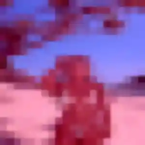 Photo de Ambre à Bourg-Beaudouin (22 ans) - plan cul gratuit