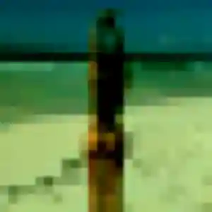 Isaure, 36 ans, disponible à Bourghelles pour un plan cul