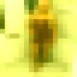 Photo de Elena à Bournezeau (20 ans) - plan cul anonyme