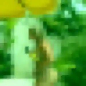 Photo exclusive de Lina, 27 ans à Bourth - rencontre sans lendemain