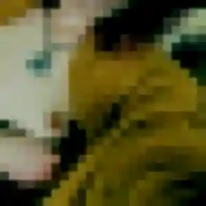 Maeva, 35 ans, connectée à Boussens pour une rencontre coquine