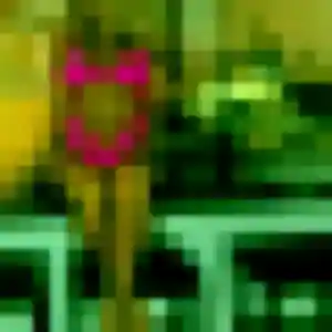 Rejoins Assia, 37 ans à Brachy en t'inscrivant