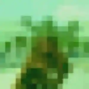 Découvre Mila, 27 ans à Bray-et-Lû en privé