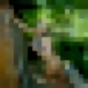 Photo exclusive de Olivia, 33 ans à Brenthonne - plan discret