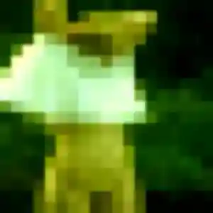 Contacte Yael, 33 ans à Breteil en privé