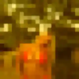 Contacte Lena, 35 ans à Brinon-sur-Sauldre en privé