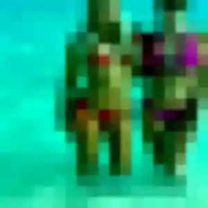 Charmante Coralie, 39 ans à Broué - voir sa photo