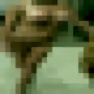 Belle Soraya, 30 ans à Broué - voir sa photo