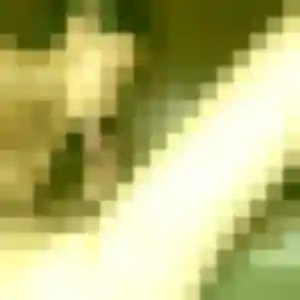 Selma de Buc, 26 ans - plan cul en toute liberté