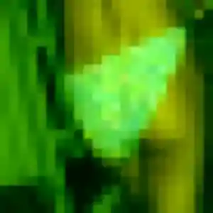 Alina, fille de 28 ans propose plan cul à Buire-le-Sec