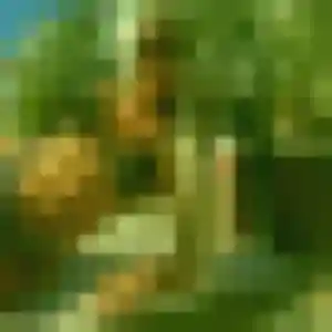 Tatiana, 32 ans, connectée à Caëstre pour un plan cul