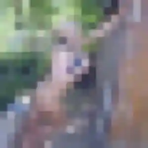 Photo privée de Celeste, 35 ans à Caix - rencontre sans lendemain