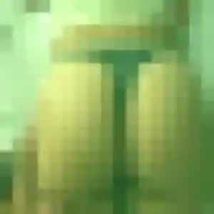 Selma de Camoël, 22 ans - plan cul discret