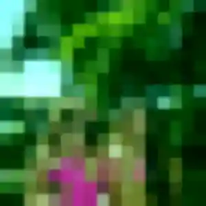 Elena (37 ans) à Candé propose un plan cul aujourd'hui