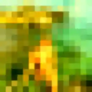 Jolie Apolline, 26 ans à Canisy - voir sa photo