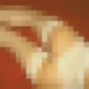 Faustine, femme de 25 ans cherche plan cul à Carantec
