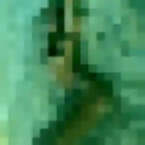 Photo exclusive de Yael, 26 ans à Carquefou - rencontre sans lendemain