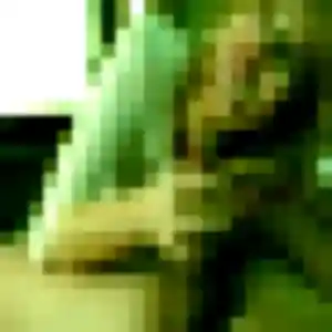 Jolie Celeste, 30 ans à Cassel - voir sa photo