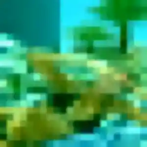 Alya, 37 ans, veut un plan cul à Catenay