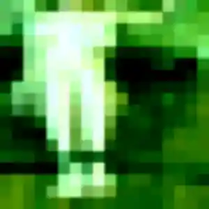 Photo de Inaya à Catenay (30 ans) - plan cul sans inscription