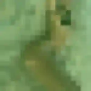 Sasha, femme de 24 ans cherche plan cul à Catus