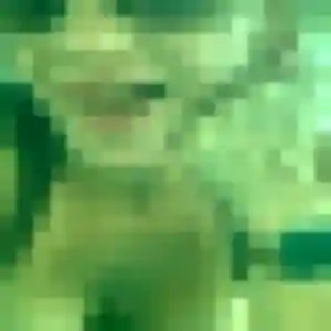 Profil de Ninon à Cépie (31 ans) - plan cul gratuit