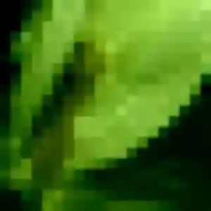 Rejoins Lyana, 37 ans à Cercottes en privé