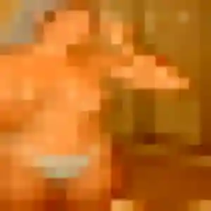 Photo perso de Ninon, 32 ans à Cercottes - plan discret