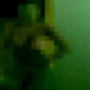 Photo de Djenna à Cergy (30 ans) - plan cul discret