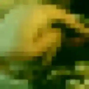 Eleonore, 22 ans, veut un plan cul à Cerisé