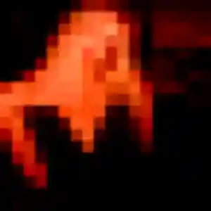 Photo privée de Violette, 36 ans à Cerisy-la-Salle - rencontre coquine