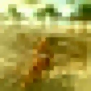 plan cul à Cernay-la-Ville : photo de Honorine, 31 ans - sans engagement