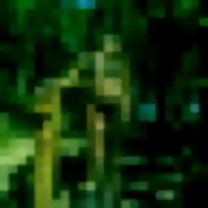 Photo de Victoire à Cesny-les-Sources (37 ans) - plan cul anonyme