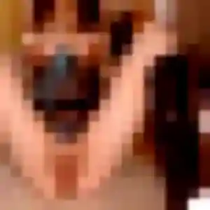 Lilou, 32 ans, disponible à Chaffois pour un plan cul