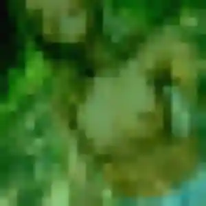 Sexy Leila, 39 ans à Chailloué - découvrir son profil