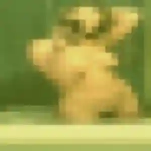 Photo sexy de Lison, 33 ans à Chalamont - plan discret