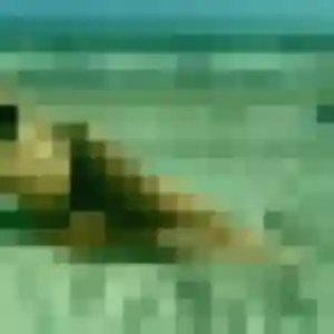 Profil de Heloise à Châlons-du-Maine (32 ans) - plan cul discret