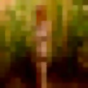 Leana (28 ans) à Chambois cherche une rencontre rapidement