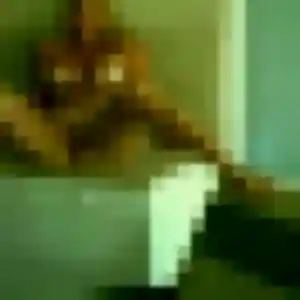 Lison, fille de 30 ans veut plan cul à Champagne-sur-Oise