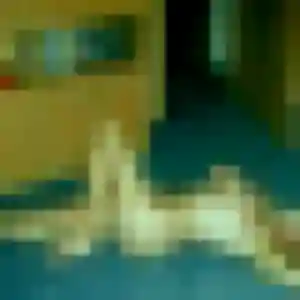 Belle Aya, 33 ans à Champigny-en-Beauce - la contacter