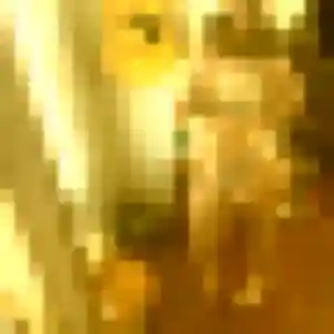 Inaya, 36 ans, en ligne à Champlan pour une rencontre coquine