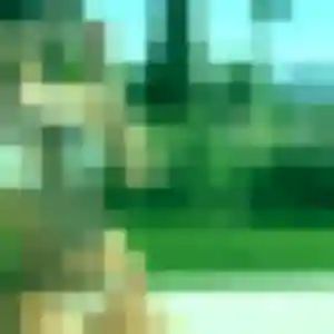 Photo privée de Albane, 37 ans à Champsecret - rencontre sans lendemain