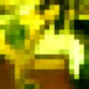 Alix de Changé, 38 ans - plan cul en toute liberté