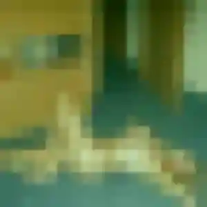 Aya, 36 ans, disponible à Chanteloup-les-Bois pour une rencontre coquine