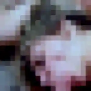 Apolline, 25 ans, veut un plan cul à Chantilly