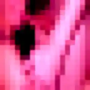 Photo de Eglantine à Chantrigné (27 ans) - plan cul sans inscription