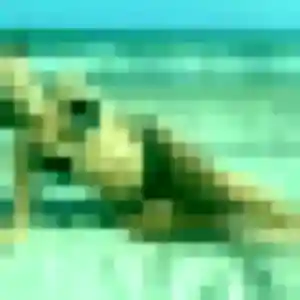 Manel, 27 ans, connectée à Chantrigné pour un plan cul